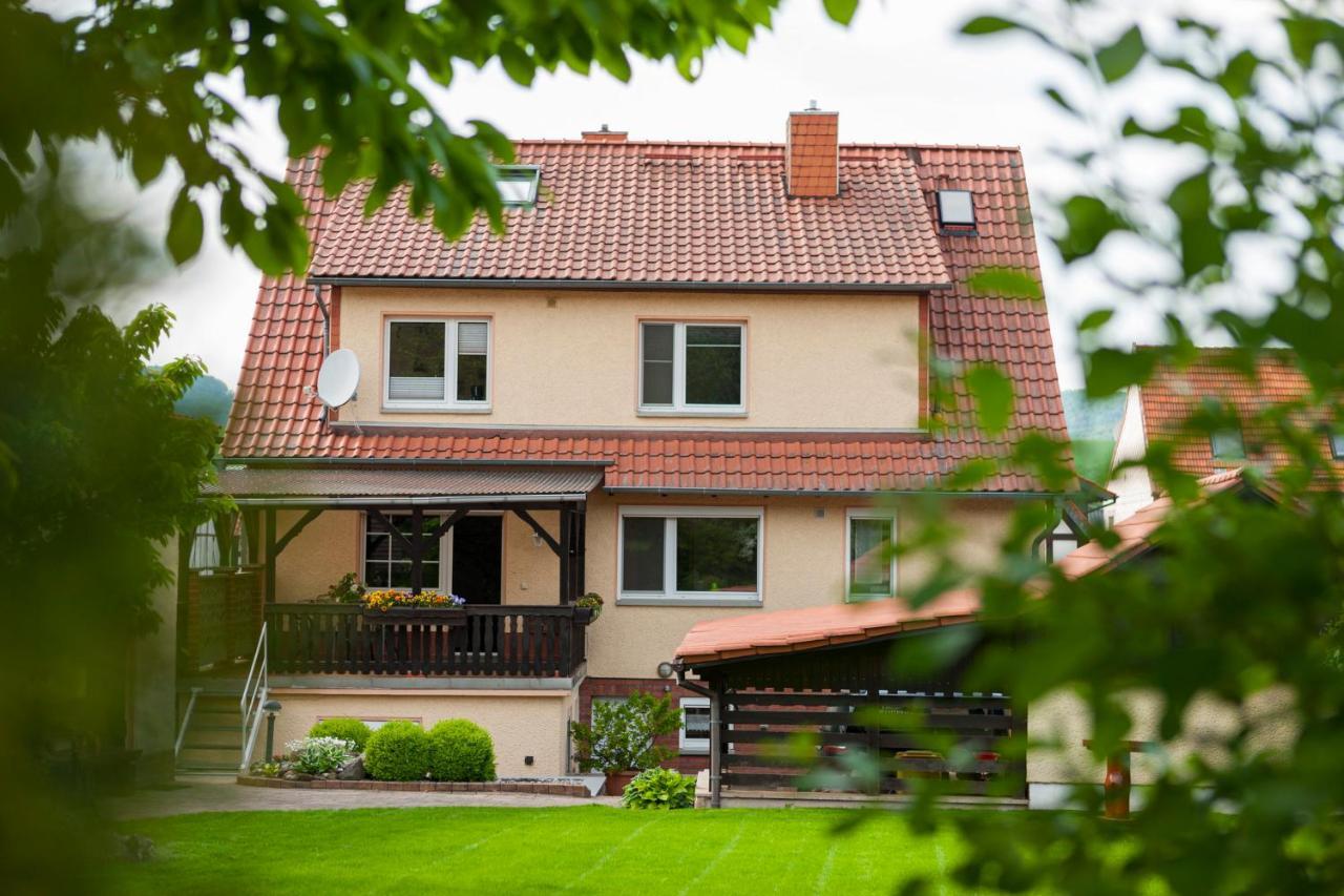 Ferienhaus Og1 "Westerwald Blick" Martinfeld Екстериор снимка